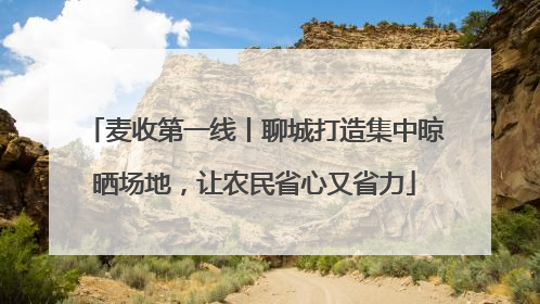 麦收第一线丨聊城打造集中晾晒场地，让农民省心又省力