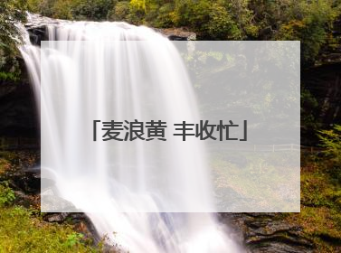 麦浪黄 丰收忙