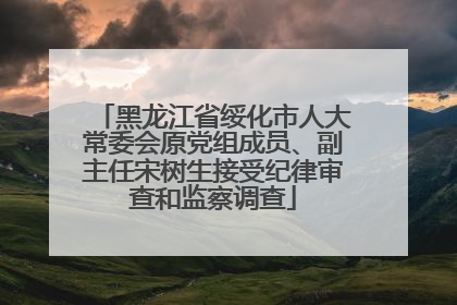 黑龙江省绥化市人大常委会原党组成员、副主任宋树生接受纪律审查和监察调查