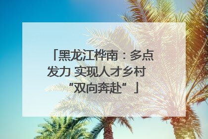黑龙江桦南：多点发力 实现人才乡村“双向奔赴”