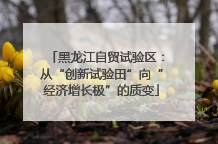 黑龙江自贸试验区：从“创新试验田”向“经济增长极”的质变