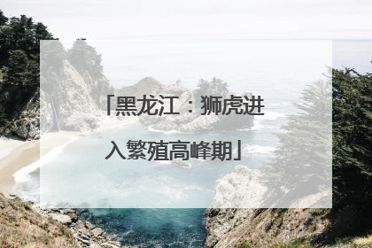 黑龙江：狮虎进入繁殖高峰期