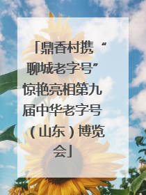 鼎香村携“聊城老字号”惊艳亮相第九届中华老字号（山东）博览会