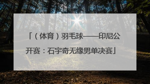（体育）羽毛球——印尼公开赛：石宇奇无缘男单决赛