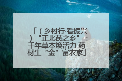 （乡村行·看振兴）“正北芪之乡”：千年草本焕活力 药材生“金”富农家