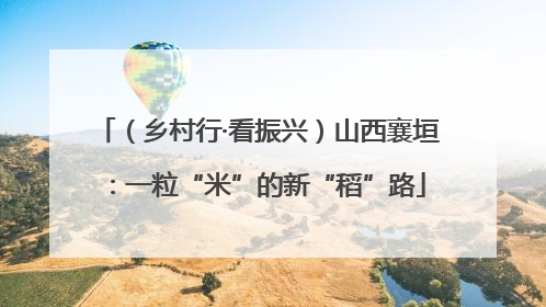 （乡村行·看振兴）山西襄垣：一粒“米”的新“稻”路