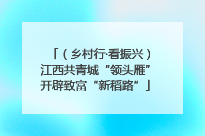 （乡村行·看振兴）江西共青城“领头雁”开辟致富“新稻路”