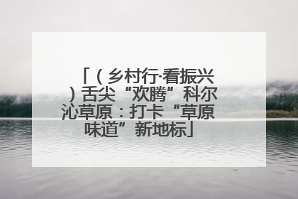 （乡村行·看振兴）舌尖“欢腾”科尔沁草原：打卡“草原味道”新地标