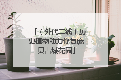 （外代二线）历史植物助力修复庞贝古城花园