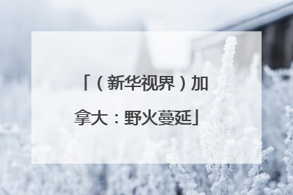 （新华视界）加拿大：野火蔓延