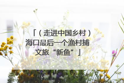 （走进中国乡村）海口最后一个渔村捕文旅“新鱼”