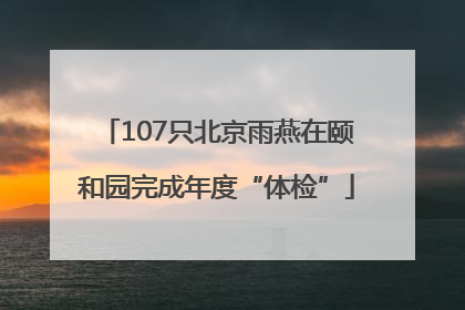 107只北京雨燕在颐和园完成年度“体检”