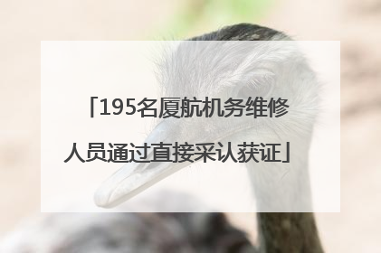 195名厦航机务维修人员通过直接采认获证