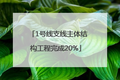 1号线支线主体结构工程完成20%