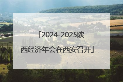 2024-2025陕西经济年会在西安召开