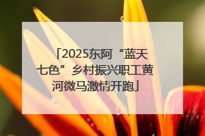 2025东阿“蓝天七色”乡村振兴职工黄河微马激情开跑