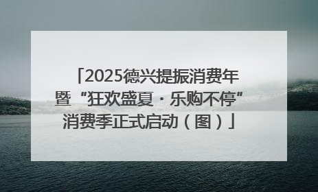 2025德兴提振消费年暨“狂欢盛夏・乐购不停”消费季正式启动（图）