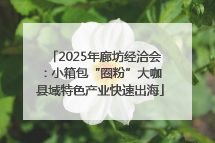 2025年廊坊经洽会：小箱包“圈粉”大咖 县域特色产业快速出海