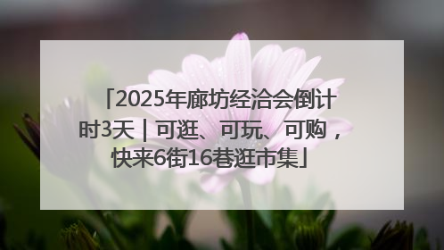 2025年廊坊经洽会倒计时3天｜可逛、可玩、可购，快来6街16巷逛市集