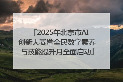 2025年北京市AI创新大赛暨全民数字素养与技能提升月全面启动