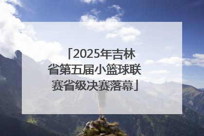 2025年吉林省第五届小篮球联赛省级决赛落幕