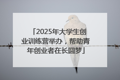 2025年大学生创业训练营举办，帮助青年创业者在长圆梦