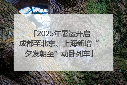 2025年暑运开启 成都至北京、上海新增“夕发朝至”动卧列车