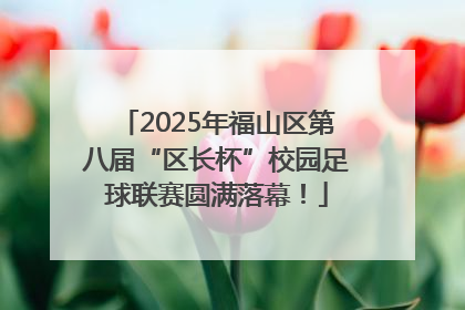 2025年福山区第八届“区长杯”校园足球联赛圆满落幕！