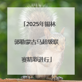 2025年锡林郭勒蒙古马超级联赛精彩进行