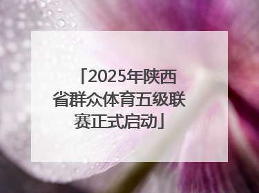 2025年陕西省群众体育五级联赛正式启动