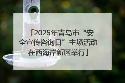 2025年青岛市“安全宣传咨询日”主场活动在西海岸新区举行