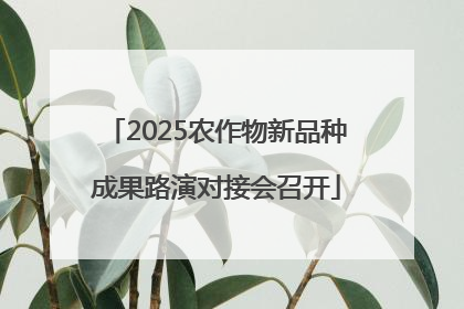 2025农作物新品种成果路演对接会召开