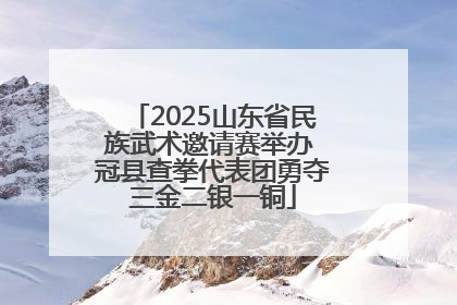 2025山东省民族武术邀请赛举办 冠县查拳代表团勇夺三金二银一铜
