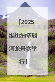 2025维也纳多瑙河龙舟赛举行