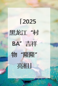 2025黑龙江“村BA”吉祥物“隆隆”亮相