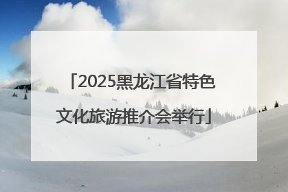 2025黑龙江省特色文化旅游推介会举行