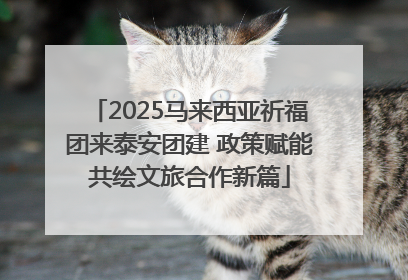 2025马来西亚祈福团来泰安团建 政策赋能共绘文旅合作新篇