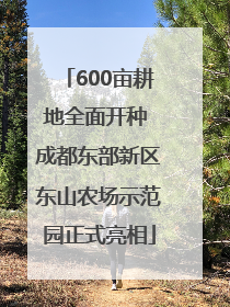 600亩耕地全面开种 成都东部新区东山农场示范园正式亮相