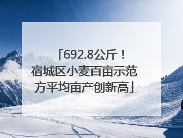 692.8公斤！宿城区小麦百亩示范方平均亩产创新高