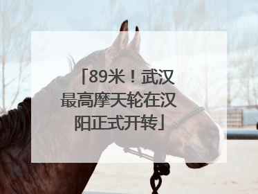 89米！武汉最高摩天轮在汉阳正式开转