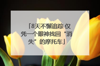 8天不懈追踪 仅凭一个眼神找回“消失”的摩托车