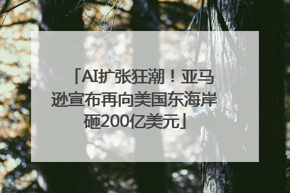 AI扩张狂潮！亚马逊宣布再向美国东海岸砸200亿美元