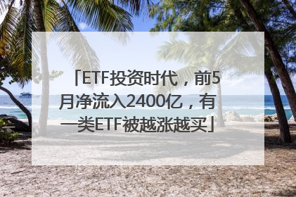 ETF投资时代，前5月净流入2400亿，有一类ETF被越涨越买
