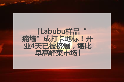 Labubu样品“痛墙”成打卡地标！开业4天已被挤爆，堪比早高峰菜市场