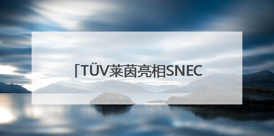 TÜV莱茵亮相SNEC PV+ 2025，赋能新能源产业高质量发展